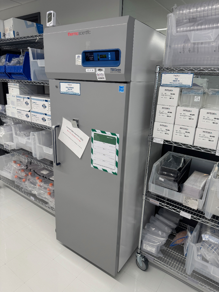 Image of Thermo TSX Series -20C Freezer